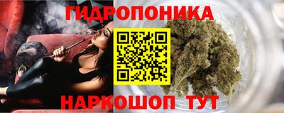 PSILOCYBIN Пушкино