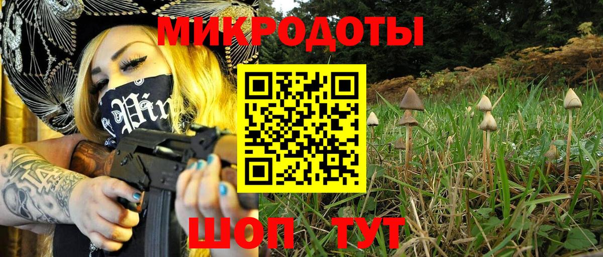 Псилоцибиновые грибы мухоморы Сочи